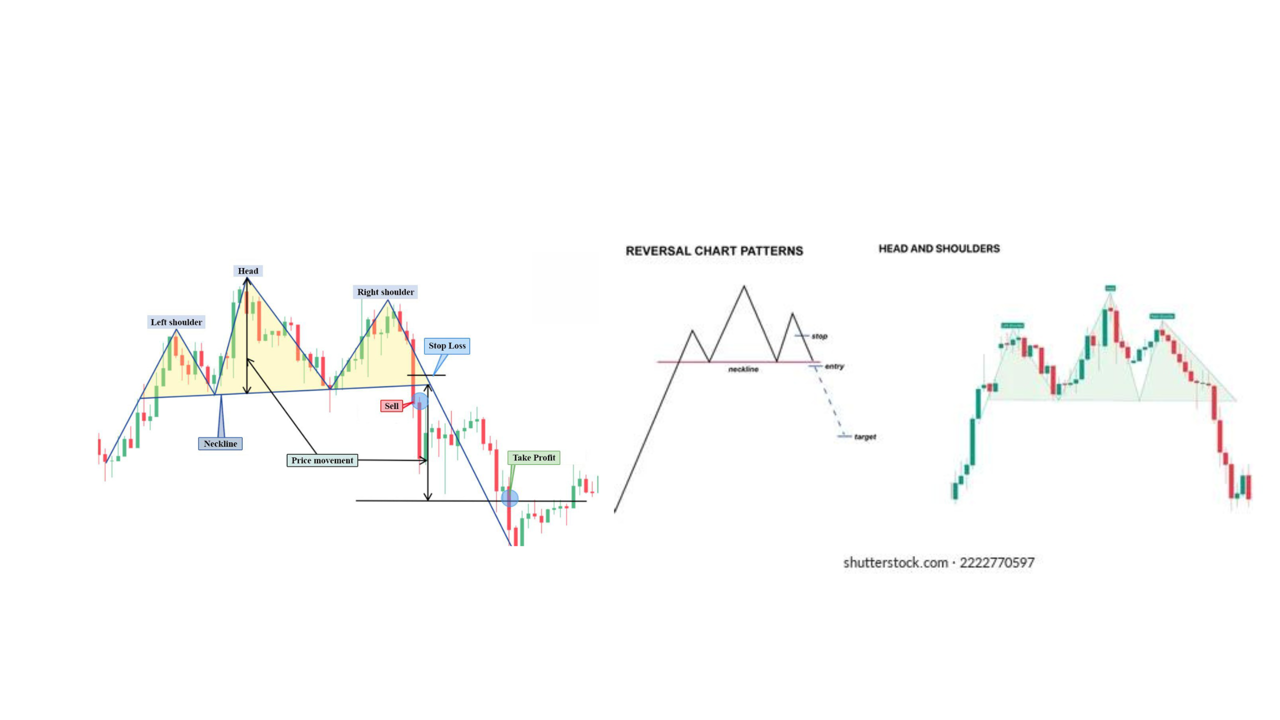 Forex King