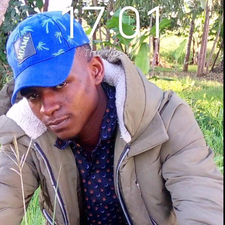 hamissamso6666