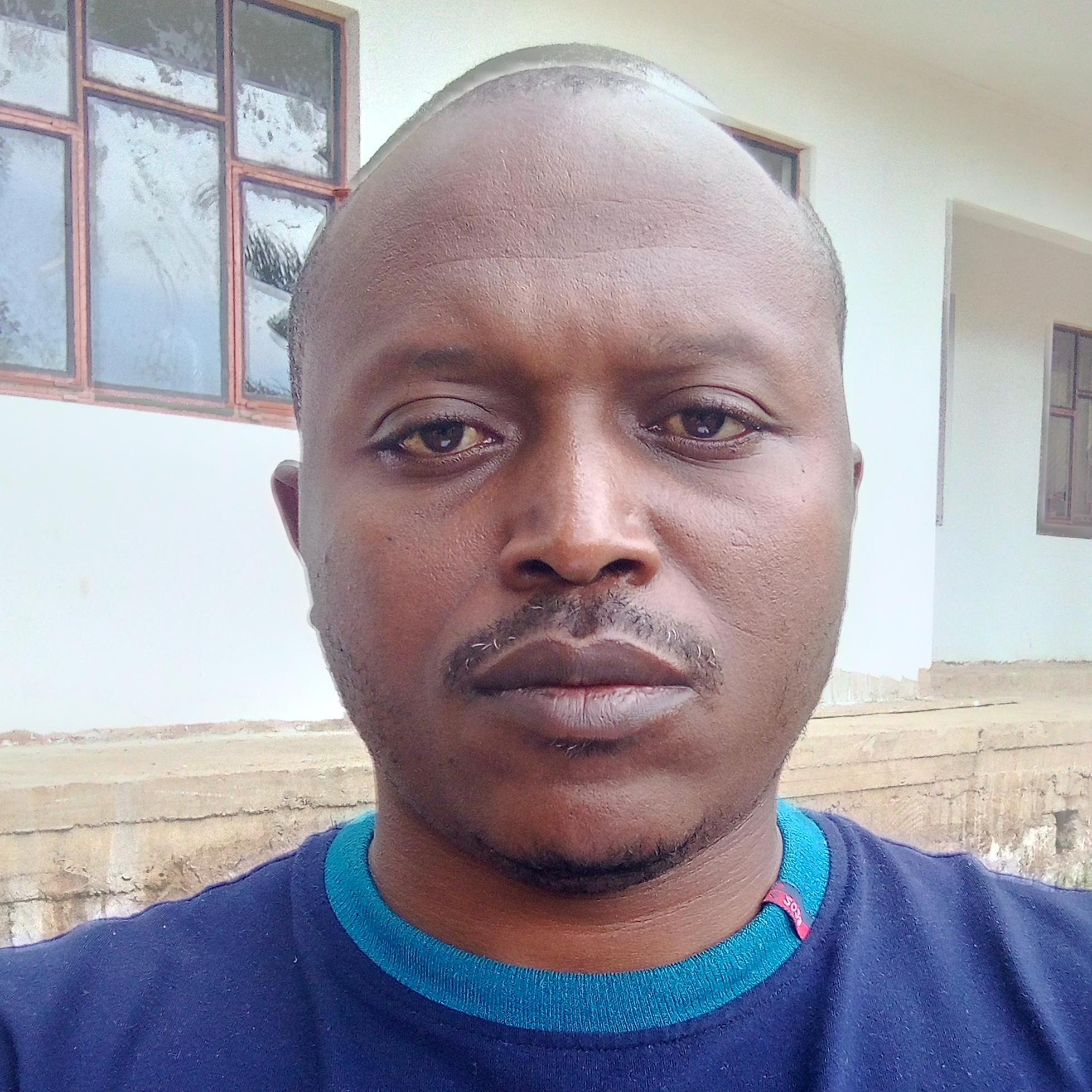 festokimbi