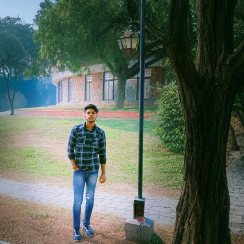 Salman Ansari