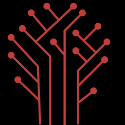 DigitalMonk