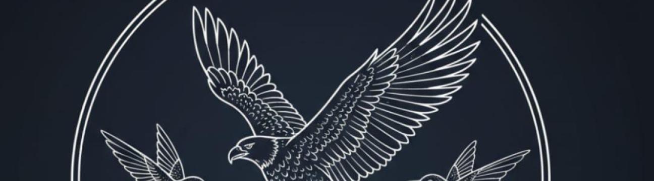 Birds Drawing