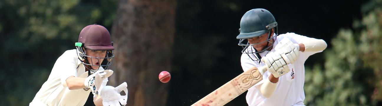 Cricket Games