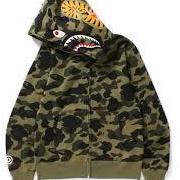 Bape2564