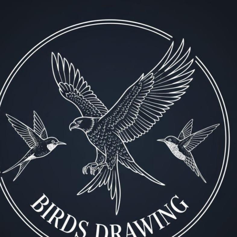birddrawing