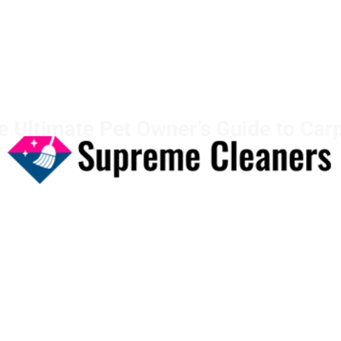 Carpet Cleaning Bulimba