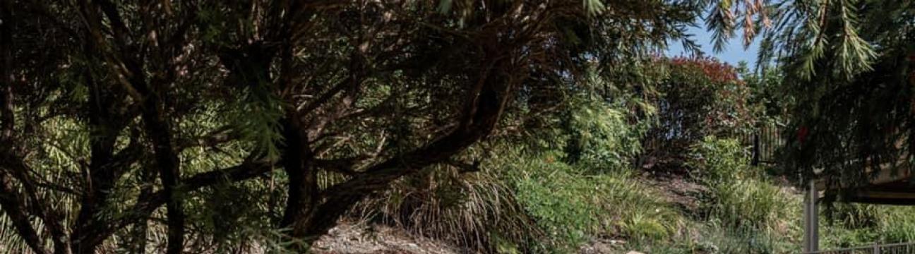 QLD Shotcrete Services