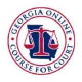 Georgia Online Course For  Court
